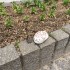 尾道の街歩き